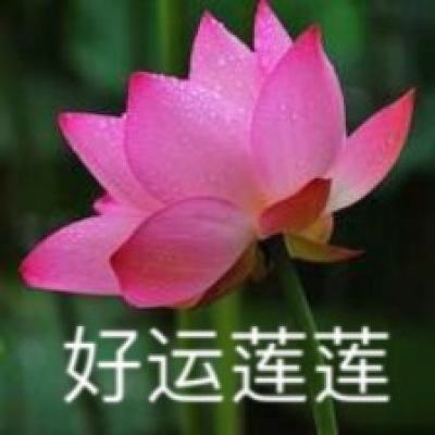 逐鹿九州官方下载